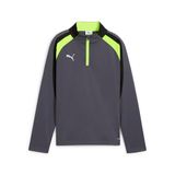 Puma Individualliga 1/4 Zip Top Kinderen Grijs Polyester