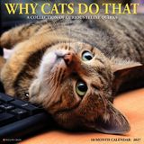 Why Willow Creek Press Why Cats Do That 2027 12 X 12 Wall Calendar