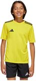 Adidas Campeon 25 T-shirt Korte Mouwen Geel 15-16 Years Kinderen