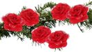 Merkloos / Sans marque Koopman International Kerstboomversiering Bloemen - 6x stuks - 9 cm - rood glitter - op clip - ornament