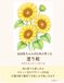 おばあちゃんのために作った塗り絵: 四季を彩る花々の塗り絵
