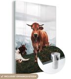 MuchoWow® Glass Painting 90x120 cm - Acrylic Glass Painting - Animals - Cow - Mountain - Photo on Glass - Paintings
