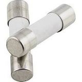 TRU COMPONENTS 1576634 TC-522707 Fusible (Ø x l) 5 mm x 20 mm 0.1 A 250 V Lent -T- Contenu 1 pièce(s)