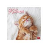 Legami Wandkalender 2025, grote wandkalender 30 x 29 cm, 12 maanden en jaarplanner, ruimte voor notities en notities, 6 talen, sterrenbeelden en internationale feestdagen, kittens