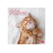 Legami Wandkalender 2025, grote wandkalender 30 x 29 cm, 12 maanden en jaarplanner, ruimte voor notities en notities, 6 talen, sterrenbeelden en internationale feestdagen, kittens