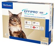 VIRBAC Effipro Duo Spot-on voor katten van 6 tot 12 kg - 4 pipetten