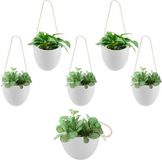 Ensemble de 6 suspensions pour plantes en macramé sans marque
