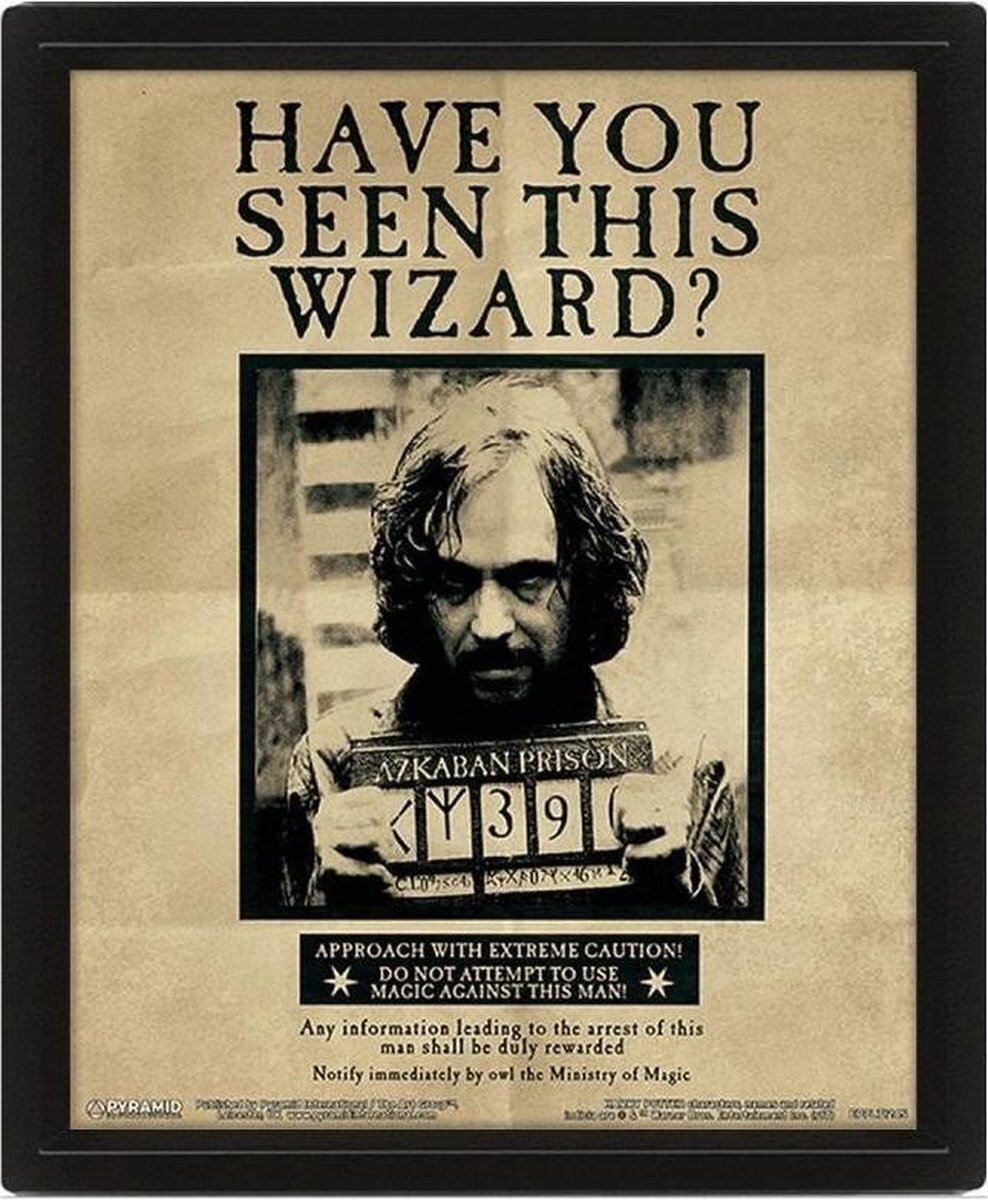 Pyramid International Harry Potter - 3D Lenticular Poster