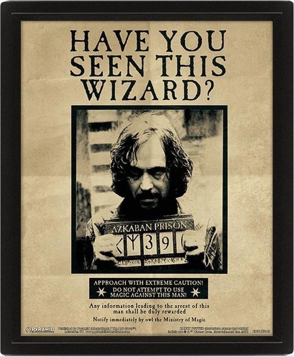 Pyramid International Harry Potter - 3D Lenticular Poster - 20x26cm - Plastic - Multi Color