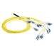 ACT 90 meter Multimode 9/125 OS2 glasvezel prefabkabel 24F LC Polarity Twist