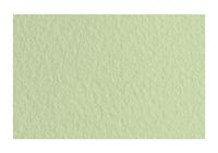 Fabriano 21297111 Tiziano Verduzzo pastelpapier, A4, 50 vellen, 160 g/m², zuurvrij, bestand tegen veroudering, ruw oppervlak