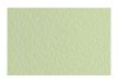 Fabriano 21297111 Tiziano Verduzzo pastelpapier, A4, 50 vellen, 160 g/m², zuurvrij, bestand tegen veroudering, ruw oppervlak