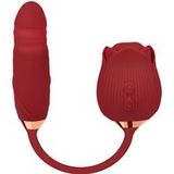 2-in-1 Vibrator 'Suck & Thrust', 30 cm