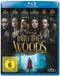Disney Into the Woods (Blu-ray)