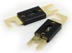 SSDN 250Amp ANL zekering - 2 stuks - Goud/Zwart
