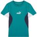 PUMA shirt fonctionnel 'Essentials' genever / noir / blanc