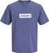 JACK & JONES JORNORREBRO BOX LOGO SS CN FST Heren T-shirt