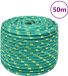 vidaXL Boottouw 12 mm 50 m polypropyleen groen