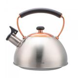 Briebe I-Bronze bouilloire siffleur 2,3 l acier inoxydable
