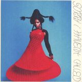 Warner Music Vagabon - Sorry I Haven't Called (Cd)