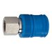 RIEGLER 107557-249.71 veiligheidskoppeling NW 7,4, type KE, messing vern., G 1/4 IG, 1 stk