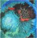 Desigual Vierkante sjaal Pompon Rectangle Foulard Turquoise blauw