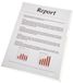 Esselte 54810 Sheet Protector A4 Transparent Polypropylene (PP)