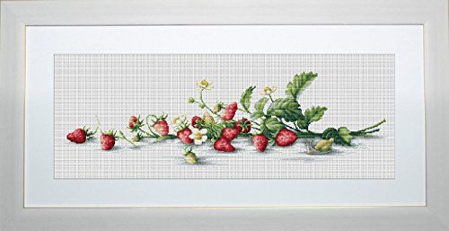 Lucas Luca-S Etude met aardbeien geteld kruis Stitch Kit, Pack van 1