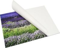 Deknudt Frames DKbond zelfklevend aluminium fotolijst 40x60 cm