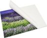 Deknudt Frames DKbond zelfklevend aluminium fotolijst 40x60 cm