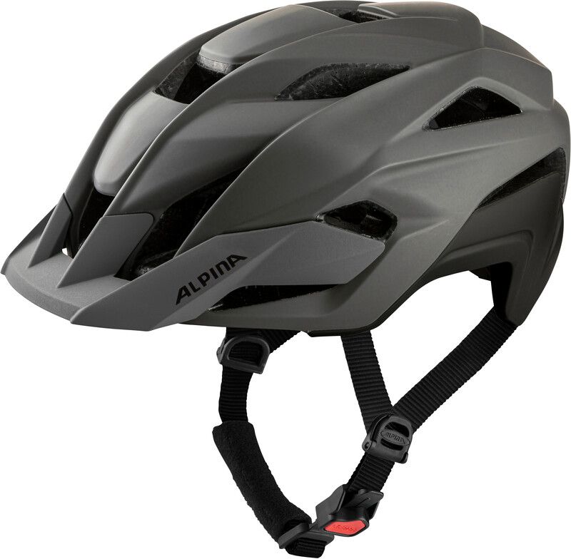 Alpina Stan MIPS Helmet - 4003692309853