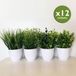 WELLHOME Kunstplanten assorti pakket van 12 cm met 23 Maceta