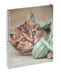 Exacompta Notitieboek met dierenteksten - 17 x 22 cm - Visueel kitten