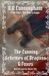 The Relics Saga The Cunning Schemes of Dragons & Foxes