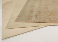 Bouwplaat Berken Triplex 25x50cm - 5.00 mm dik