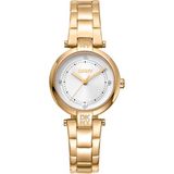 Dkny DK1L043M0055 Horloge Vrouw Goudkleurig/Zilverkleurig Staal Analoog Quartz 5 ATM