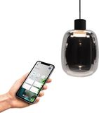 EGLO connect.z Molochio-Z Smart Hanglamp - LED - Ø 12,5 cm - Zwart/Smoke/Rookglas - Instelbaar RGB & wit licht - Dimbaar - Zigbee
