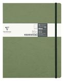 Clairefontaine 794433C Nomaddict (ex Age Bag) Genaaid Notitieboek Elastiek My.Essential Groen - B5 19x25 cm - 192 Pagina's Genummerd STIPPEN - Ivoorkleurig Papier 90 g - Omslag Glanskarton Lederkorrel