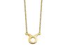 Stier Ketting Verguld Zodiac ZN005G