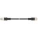 LAPP 22260786 Connector Recht Totaal aantal polen: 4 1 stuk(s)