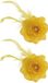 Sans marque Fleur de cheveux - Set de 2x pièces - jaune - avec épingle/ élastique - 8 cm - décoration de cheveux - femmes - carnaval