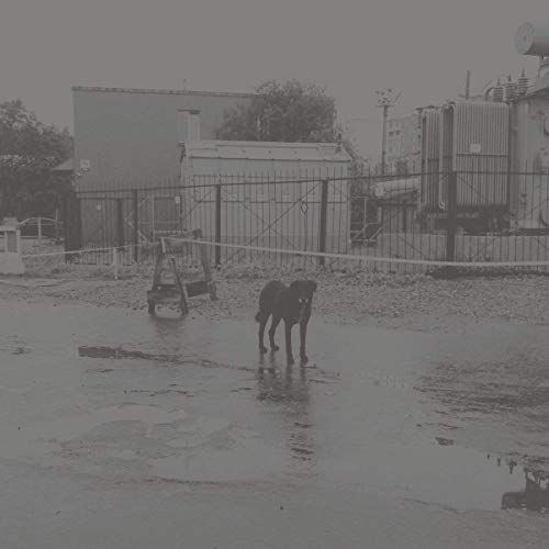 After Nivhek - After Its Own Death / Walking In A Spiral Towards The House (2 LP)