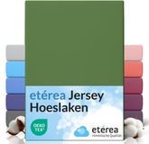 etérea Himmlische Qualität etérea Jersey Hoeslaken 90x200 - 100x200 cm Oekotex Made in Green - 100% katoen - Cactus
