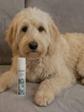 Doderm Hautpflegegel Skin Repairgel Dog
