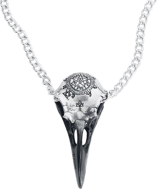 Alchemy Gothic Volvan Raven Skull Unisex Halsketting - zilverkleurig