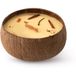 Tropicandle Apple & Cinnamon