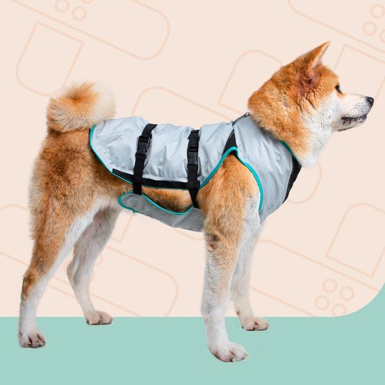 Suitical International B.V. Suitical DRY Cooling Vest Hond - Zilver - XL