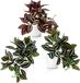Ibenzoa® Set van 3 decoratieve hangplanten met zebramotief in glanzende keramische potten