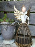 Dekoengel Vanessa, ange en crème-doré Vanessa, crème - 21 cm
