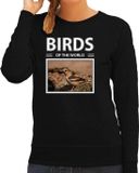 Bellatio Decorations Appelvink Dieren Foto Sweater Zwart Dames XXL